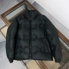 Picture for category LV Down Jackets